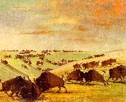 George Catlin Buffalo Bulls Fighting in Running Season-Upper Missouri China oil painting reproduction